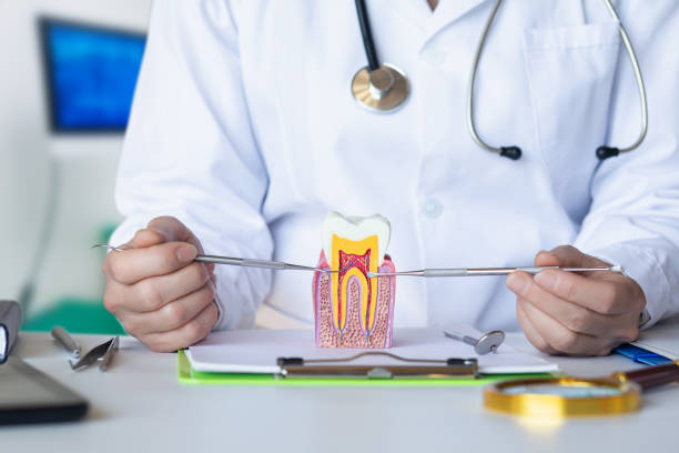 Best Knocked-Out Tooth (Avulsed Tooth) Treatment in Ladera Heights, CA